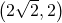 \left( 2\sqrt{2}, 2\right)